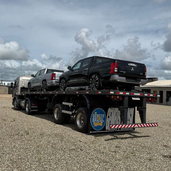 EDIÇÃO 430 - CAMINHÃO + REBOQUE + 2x TRITON HPE 4x4